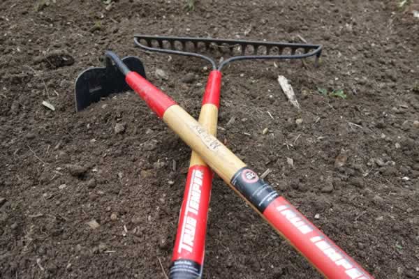 How to prepare soil for planting
