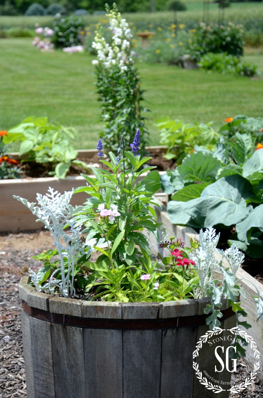 VEGETABLE GARDEN-annuals in barrels-stonegableblog.com