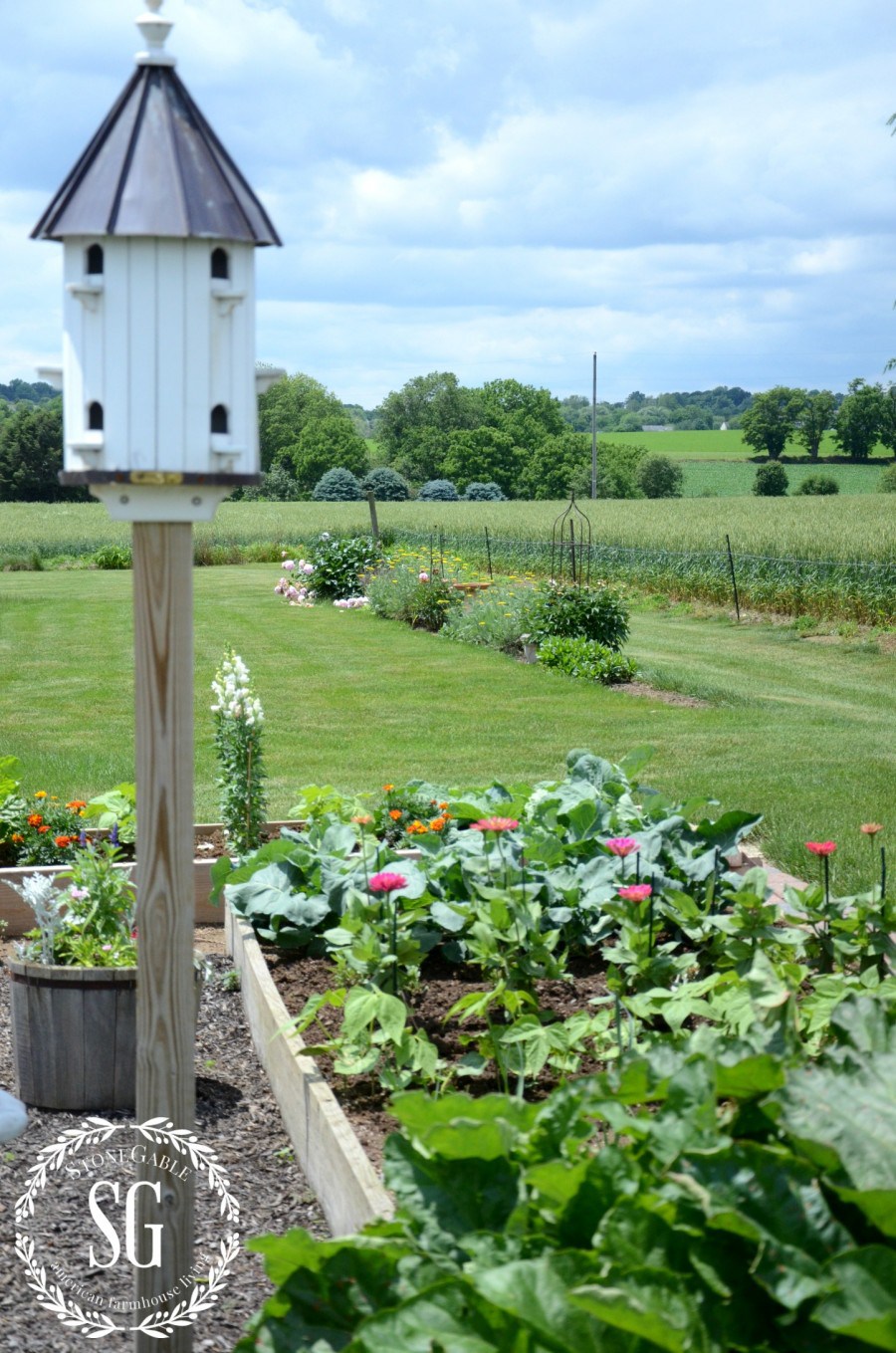 VEGETABLE GARDEN-bird house in the vegetable garden-stonegableblog.com