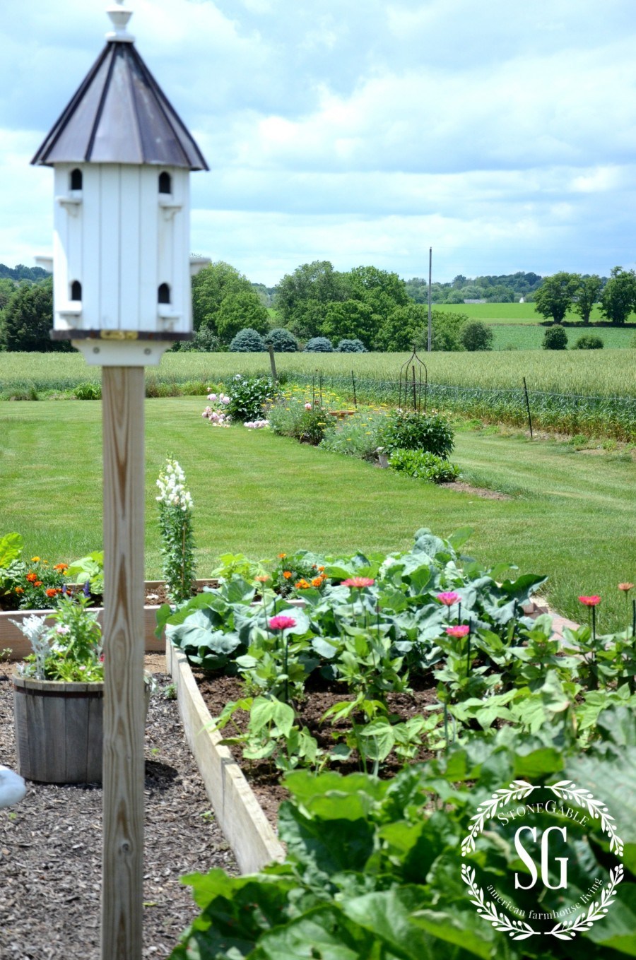 VEGETABLE GARDEN-birdhouse-vegetable garden-stonegableblog.com