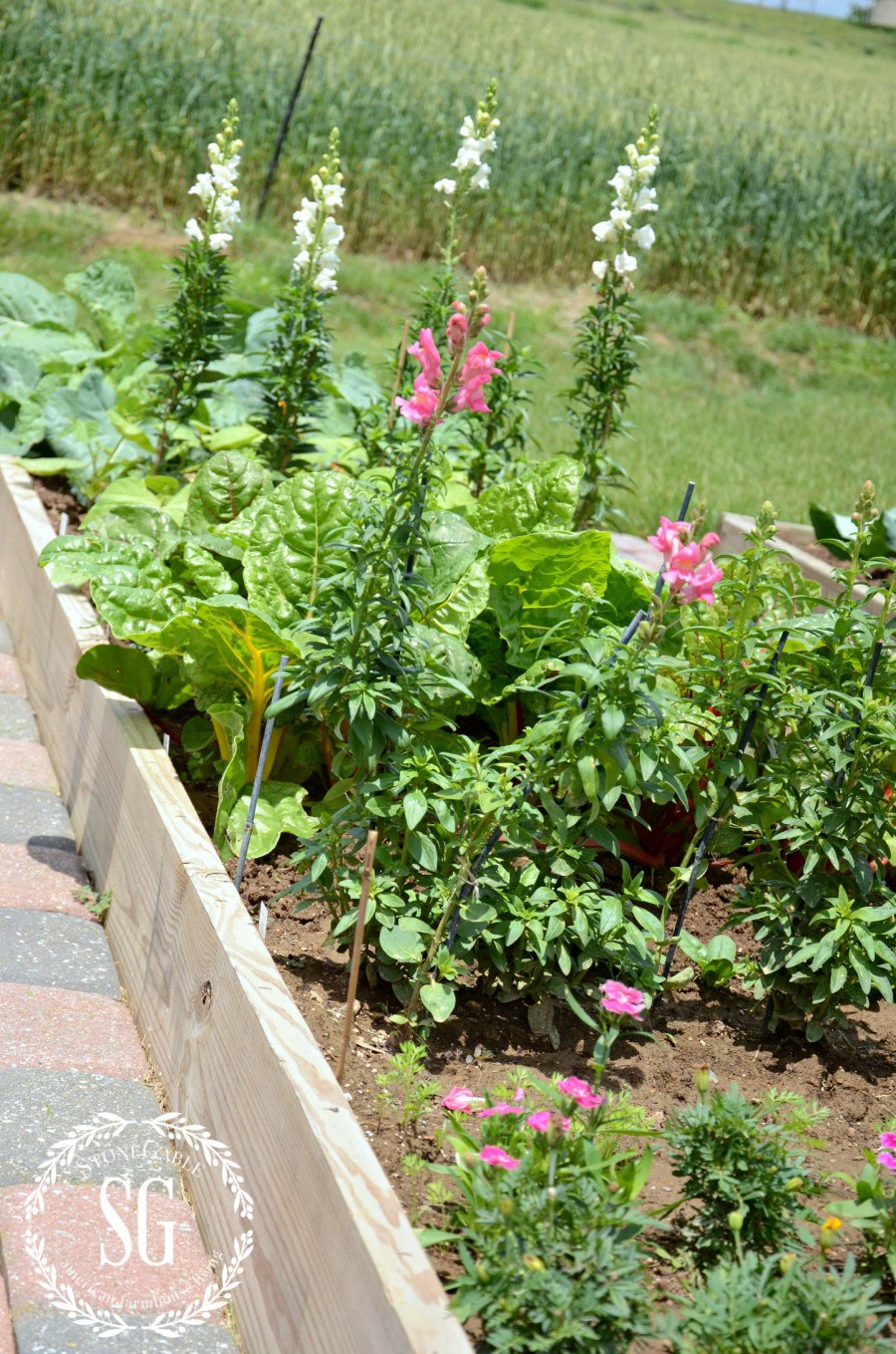 VEGETABLE GARDEN-box with veggies and flowers-stonegableblog.com