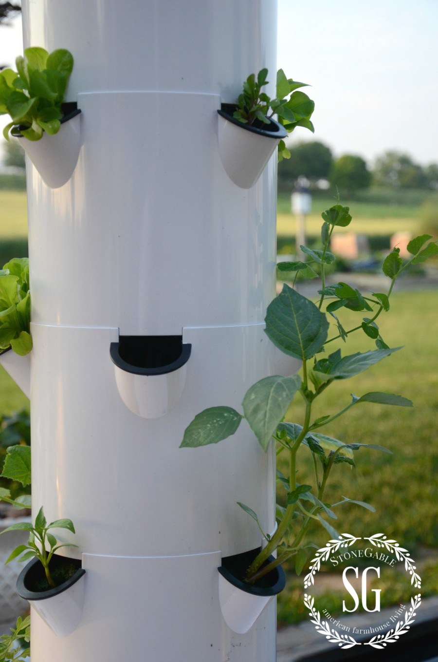 VEGETABLE GARDEN-lettuce-tower garden-stonegableblog.com