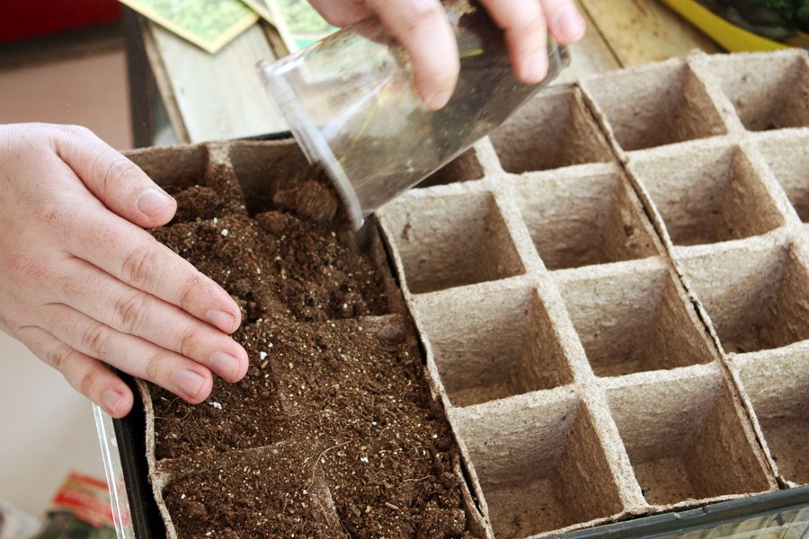 How to start your first vegetable garden: easy step by step instructions with pictures to help you begin eating your very own home grown vegetables! | via The Spirited Violet