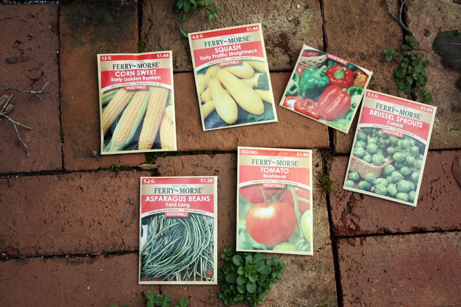 How to start your first vegetable garden: easy step by step instructions with pictures to help you begin eating your very own home grown vegetables! | via The Spirited Violet