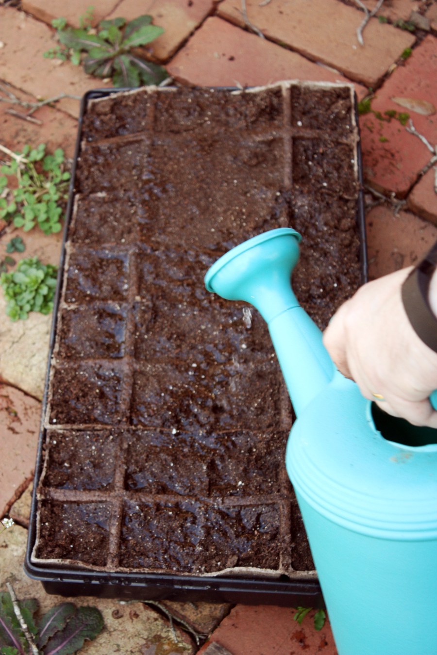 How to start your first vegetable garden: easy step by step instructions with pictures to help you begin eating your very own home grown vegetables! | via The Spirited Violet