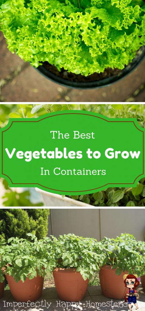 Growing Vegetables in Pots - The best veggies that you can grow in containers for urban and backyard homesteaders to stretch their growing space.